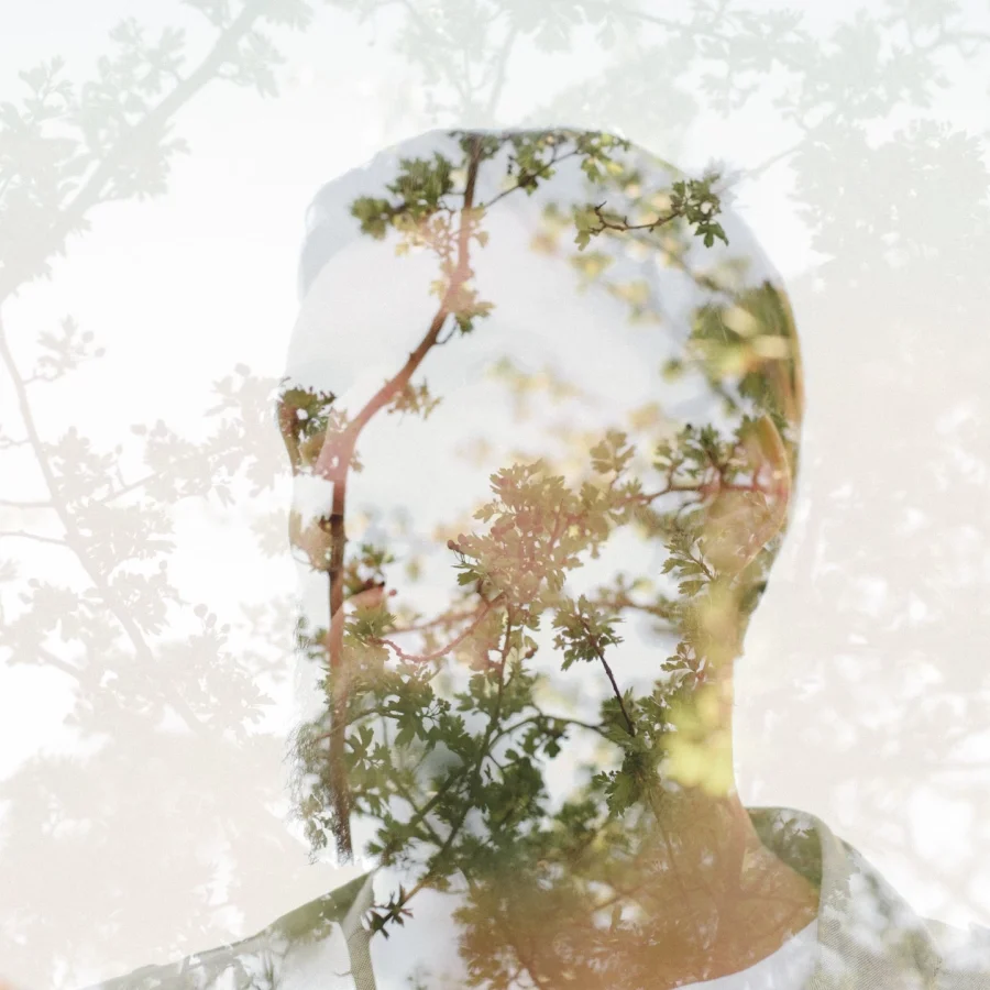 enfoque y lcaridad mental